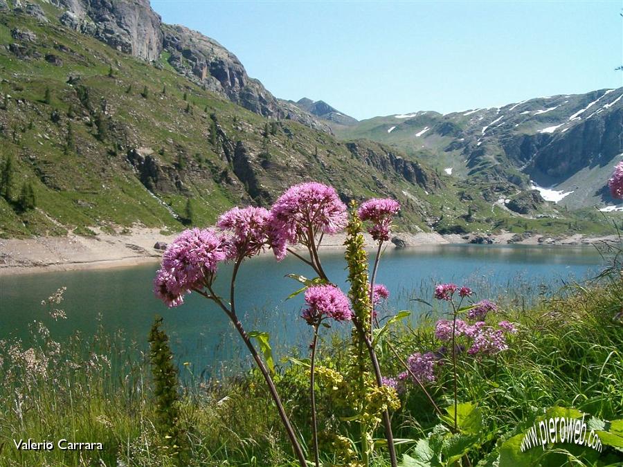 19' Sguardo al Passo d'Aviasco.jpg